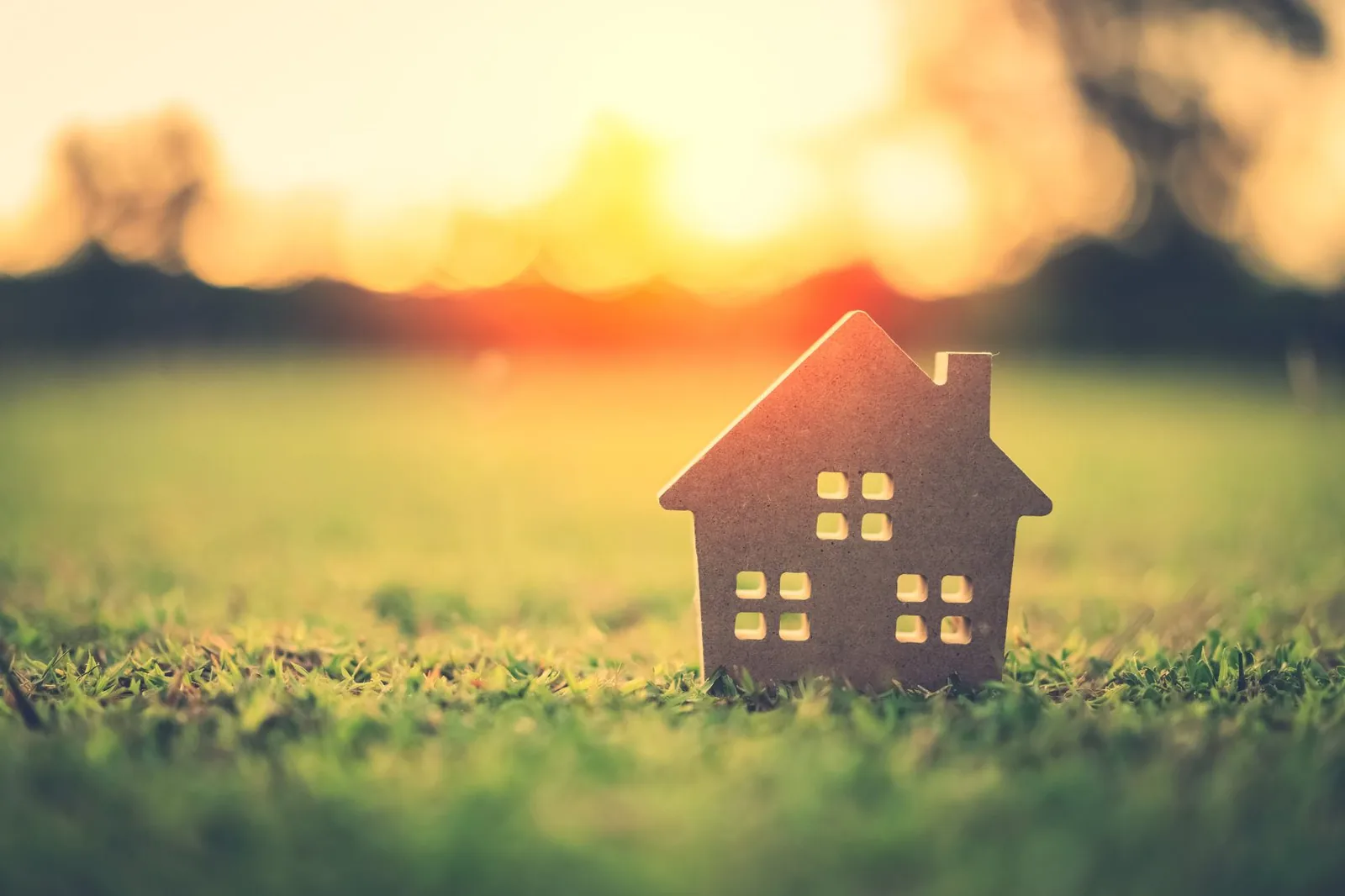 The Importance of Selecting Your Builder Early